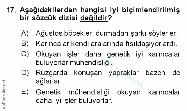 Soru 17