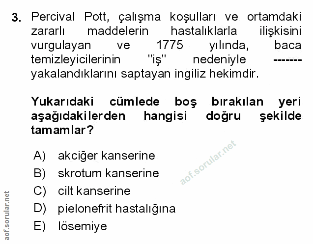 Soru 3