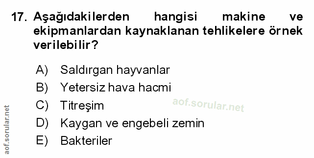 Soru 17