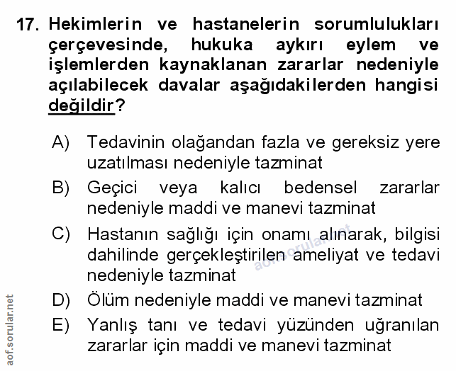 Soru 17