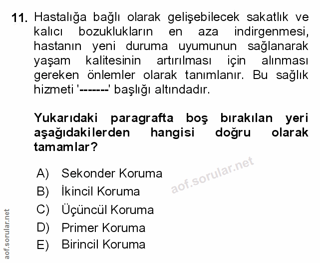 Soru 11
