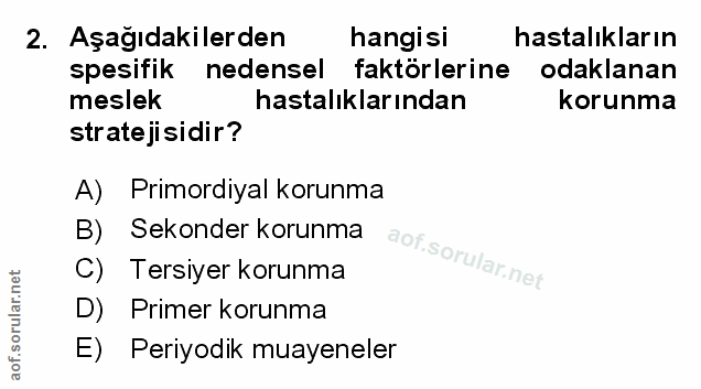 Soru 2