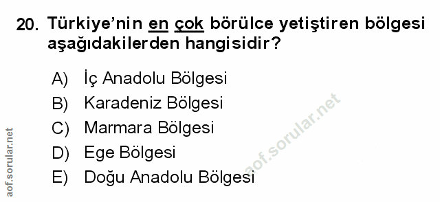 Soru 20