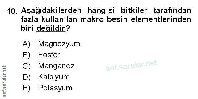 Soru 10