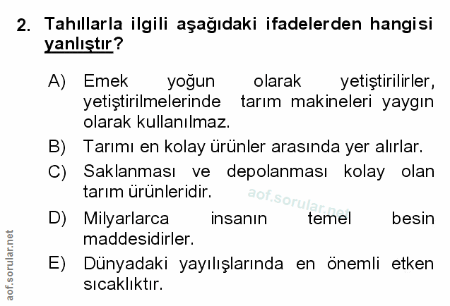 Soru 2