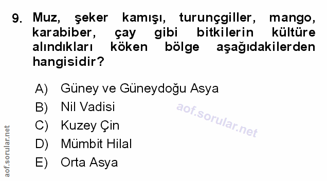 Soru 9