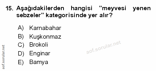 Soru 15