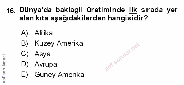 Soru 16