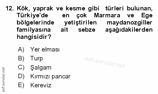 Soru 12
