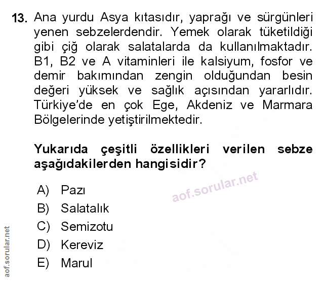 Soru 13
