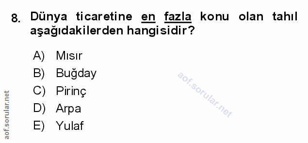 Soru 8