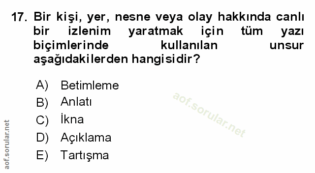 Soru 17