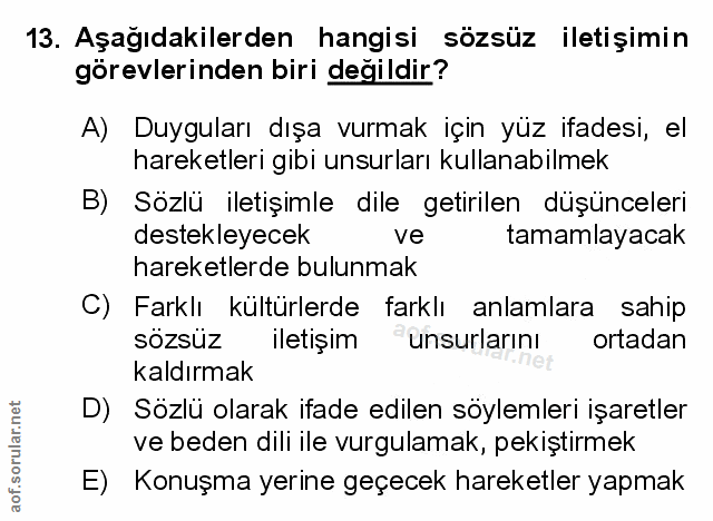 Soru 13