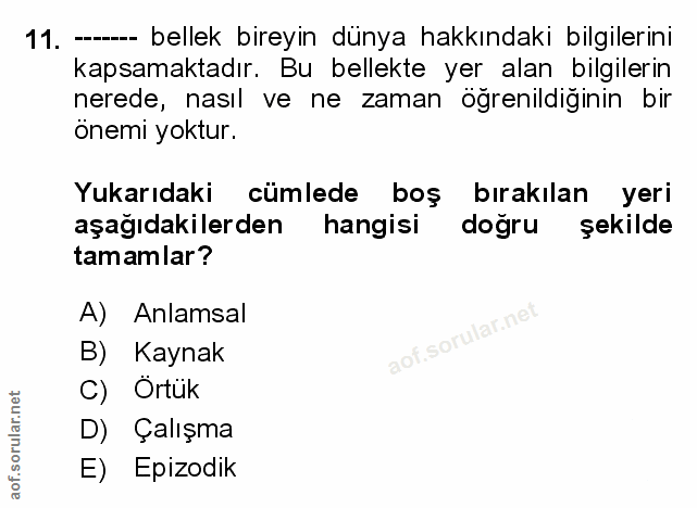 Soru 11