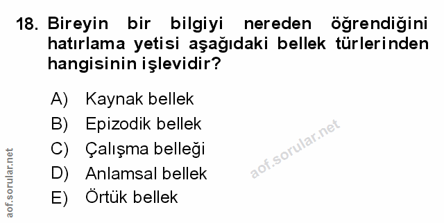 Soru 18