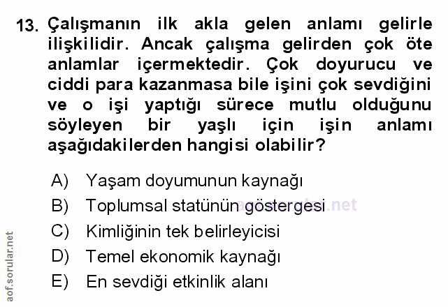 Soru 13