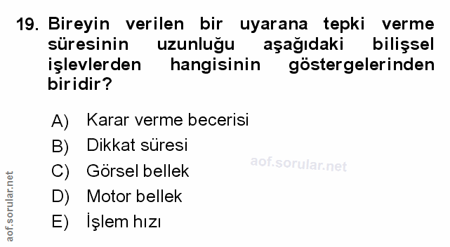 Soru 19