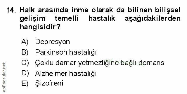Soru 14