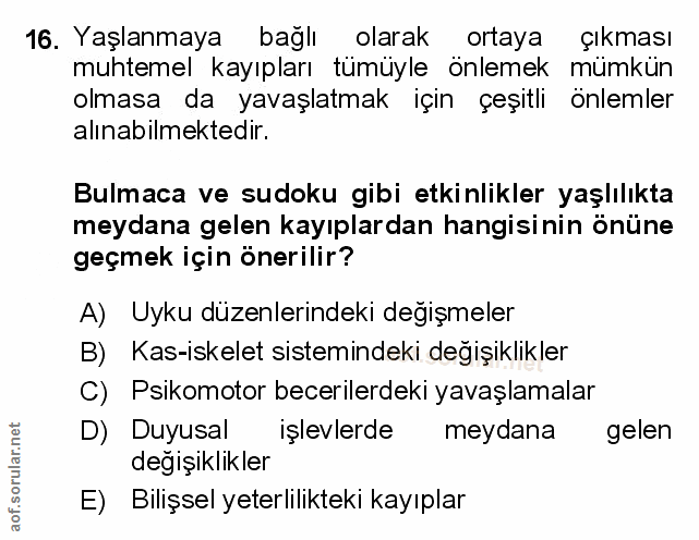 Soru 16