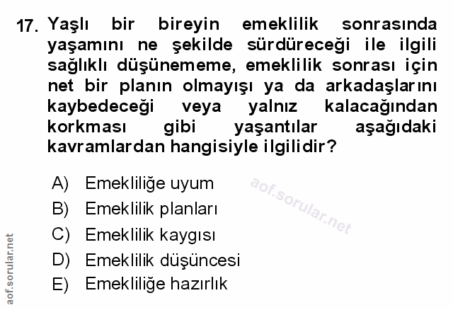 Soru 17