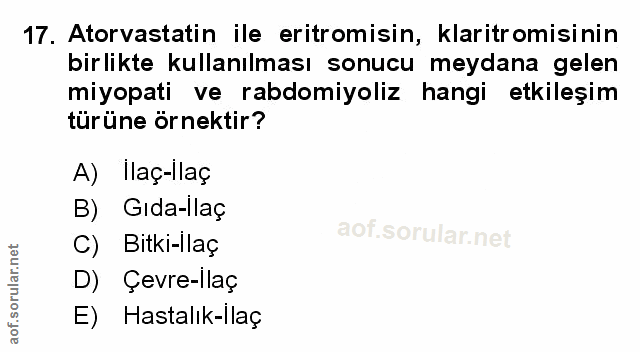 Soru 17