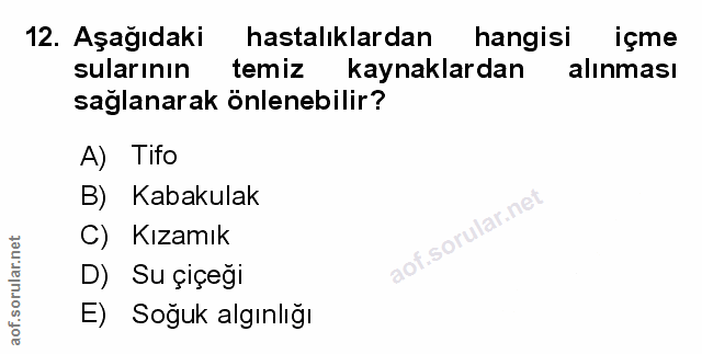Soru 12