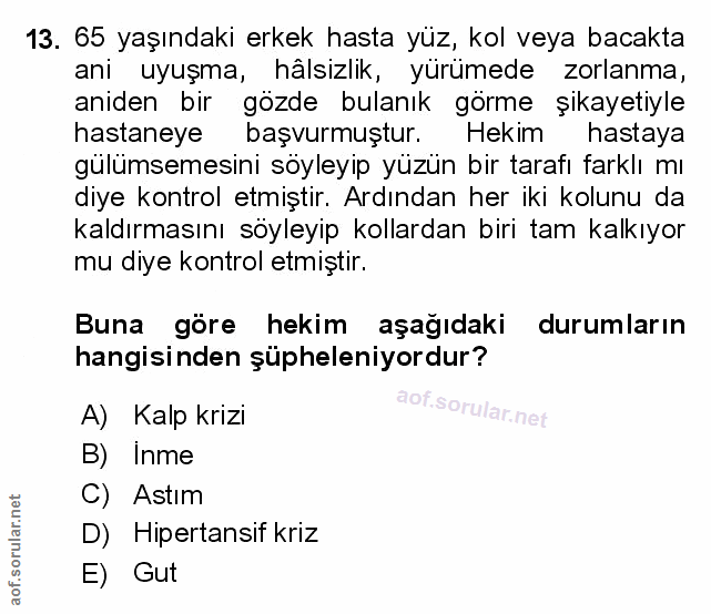 Soru 13