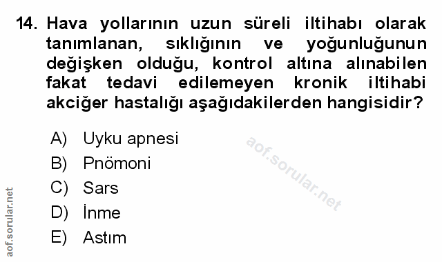 Soru 14
