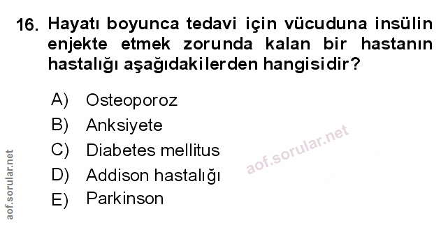 Soru 16