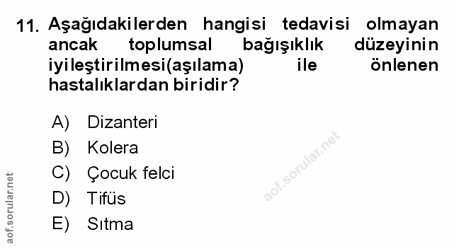 Soru 11
