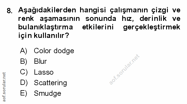 Soru 8