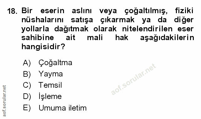 Soru 18
