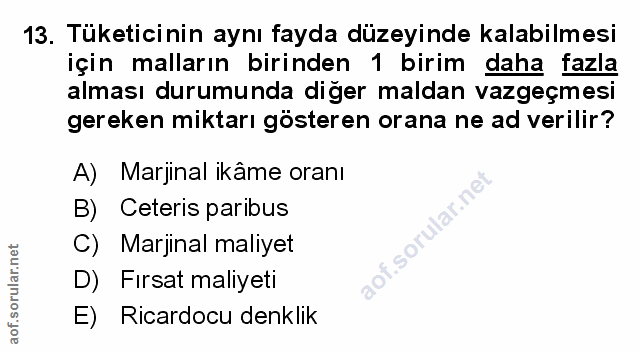 Soru 13