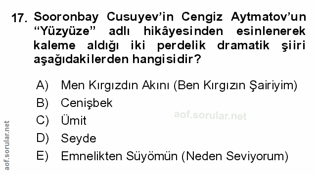 Soru 17
