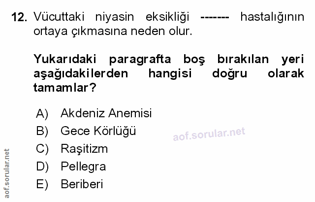 Soru 12