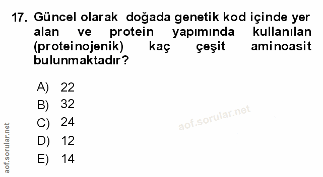 Soru 17