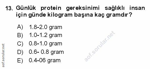 Soru 13