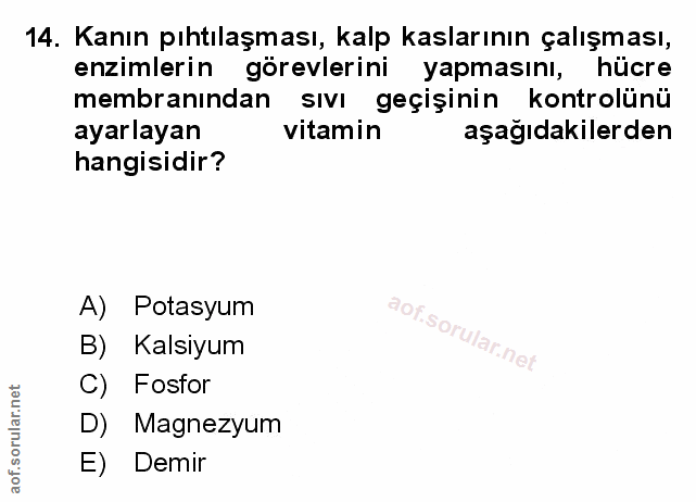 Soru 14
