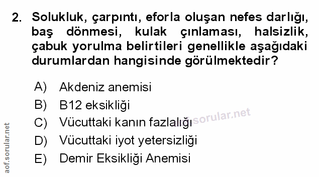 Soru 2