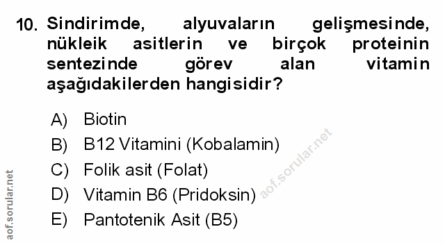 Soru 10