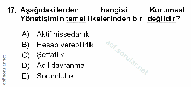 Soru 17