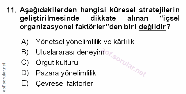 Soru 11