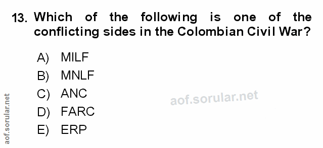 Soru 13