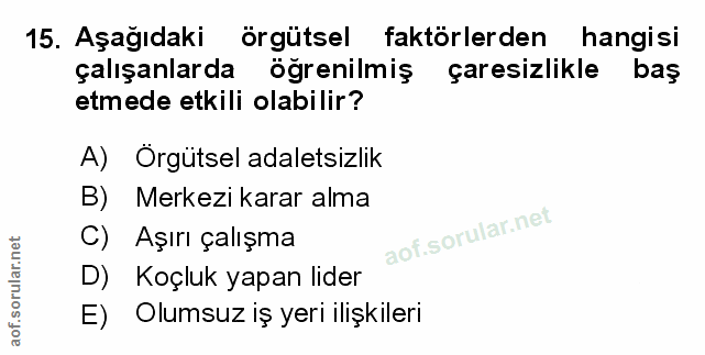 Soru 15