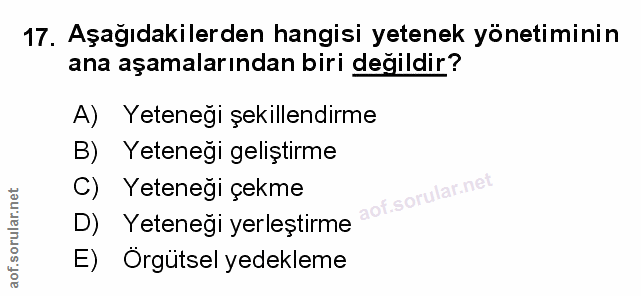 Soru 17
