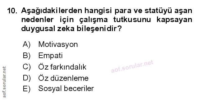 Soru 10