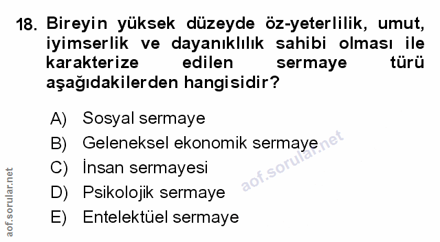 Soru 18