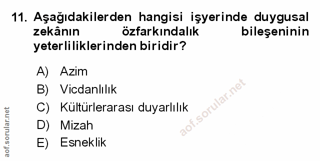 Soru 11