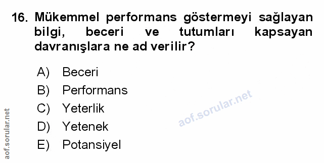 Soru 16