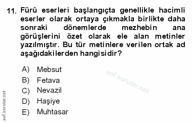 Soru 11